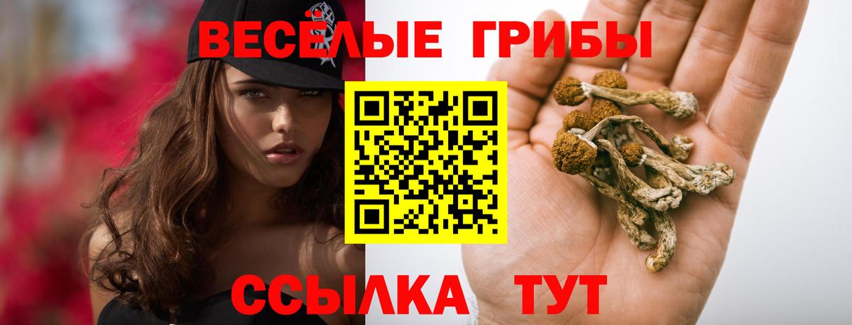 Псилоцибиновые грибы Psilocybine cubensis  даркнет сайт  Верхняя Салда  Вход с VPN 